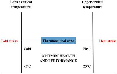 Animal welfare and effects of per-female stress on male and cattle reproduction—A review